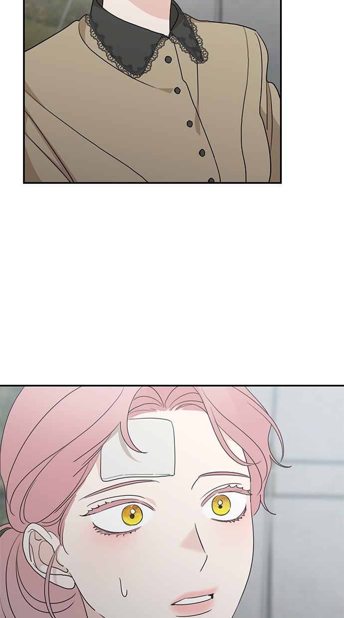 Read Meine Schwiegerfamilie ist besessen von mir Manga Online