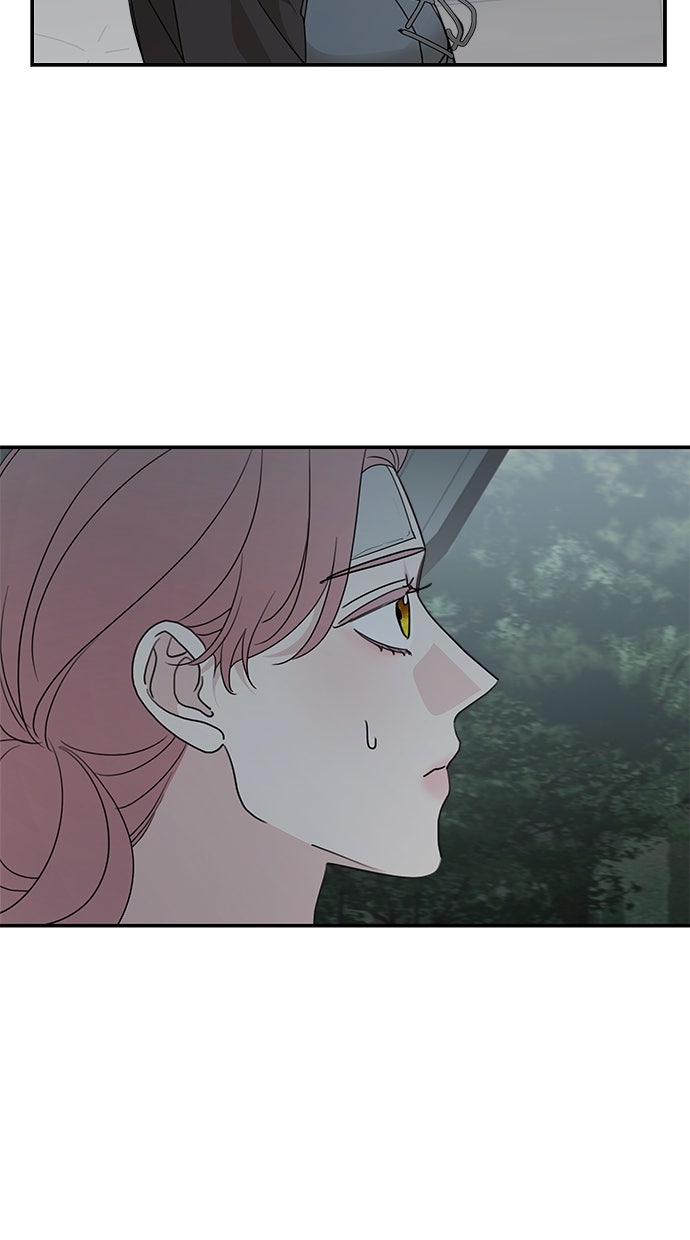 Read Meine Schwiegerfamilie ist besessen von mir Manga Online