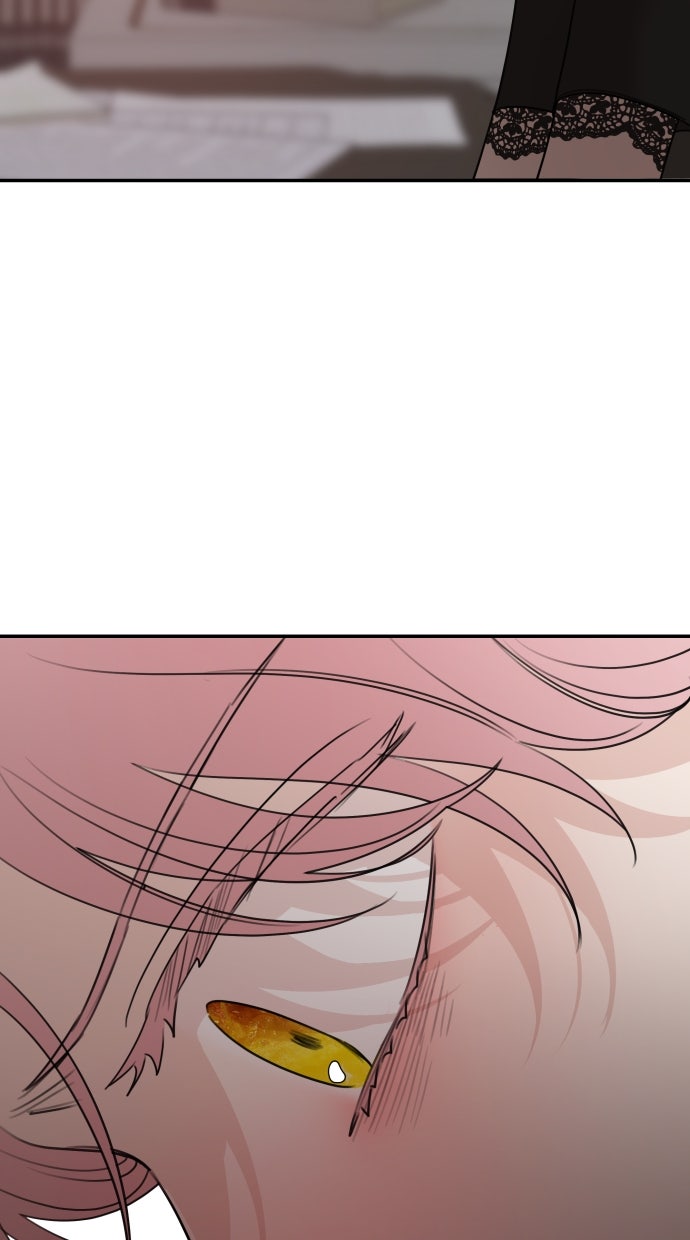 Read Meine Schwiegerfamilie ist besessen von mir Manga Online