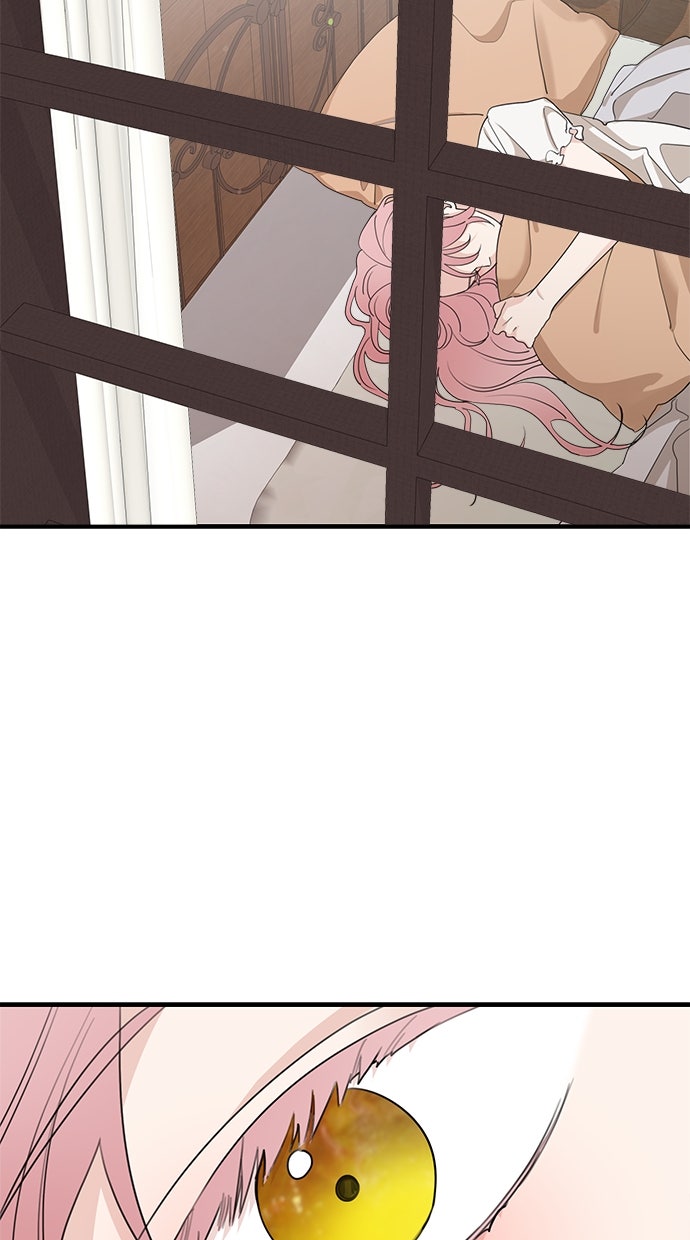 Read Meine Schwiegerfamilie ist besessen von mir Manga Online