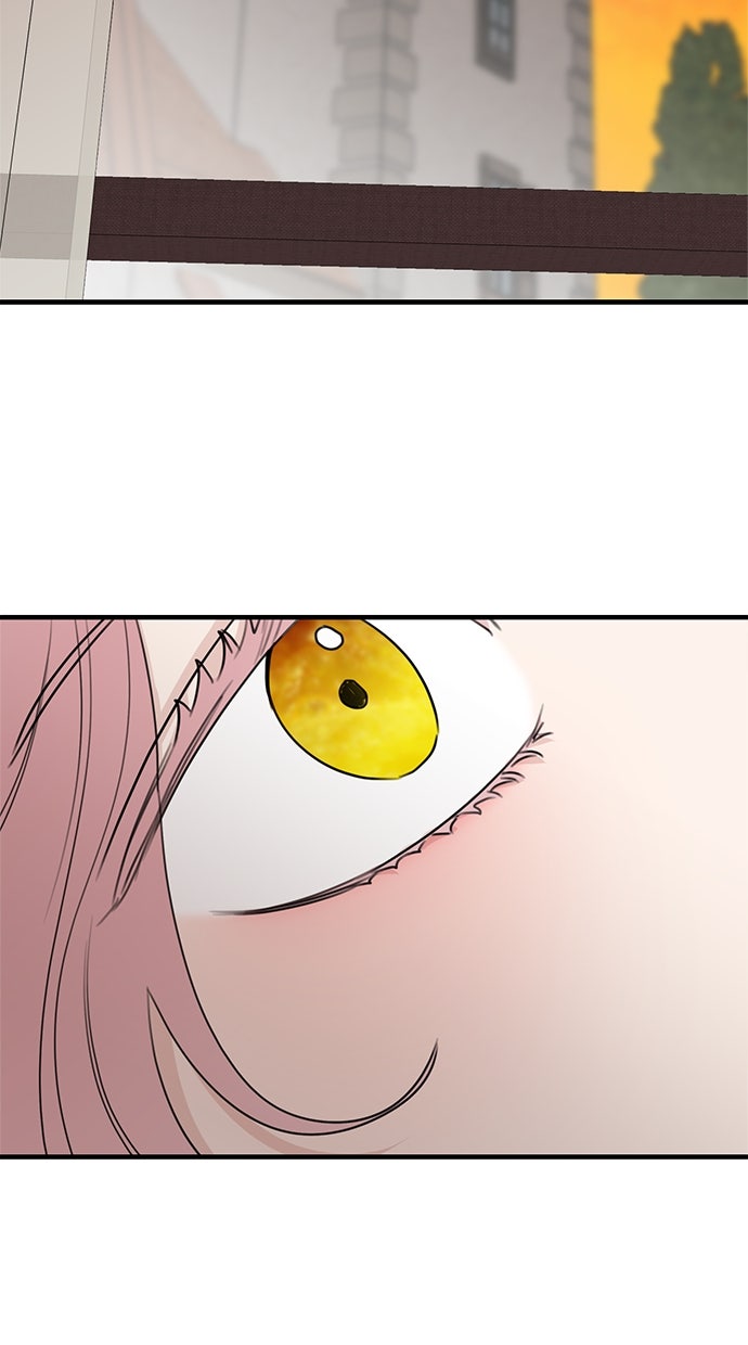 Read Meine Schwiegerfamilie ist besessen von mir Manga Online