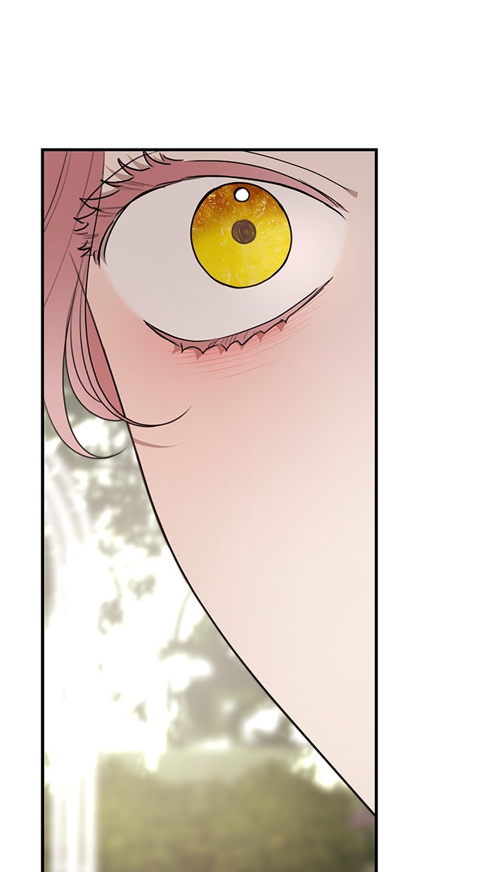 Read Meine Schwiegerfamilie ist besessen von mir Manga Online