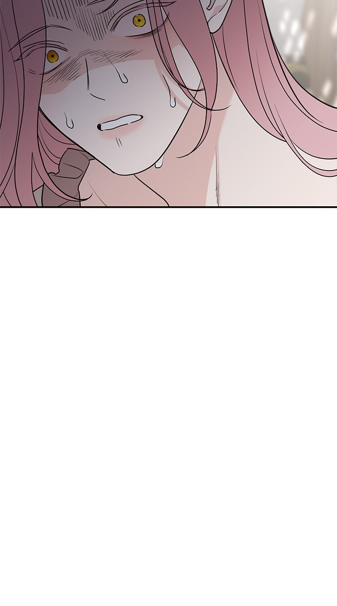 Read Meine Schwiegerfamilie ist besessen von mir Manga Online