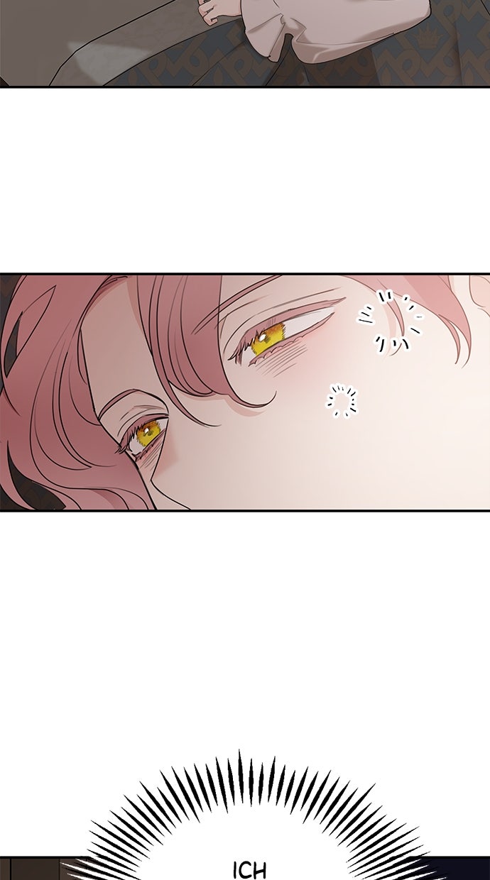 Read Meine Schwiegerfamilie ist besessen von mir Manga Online