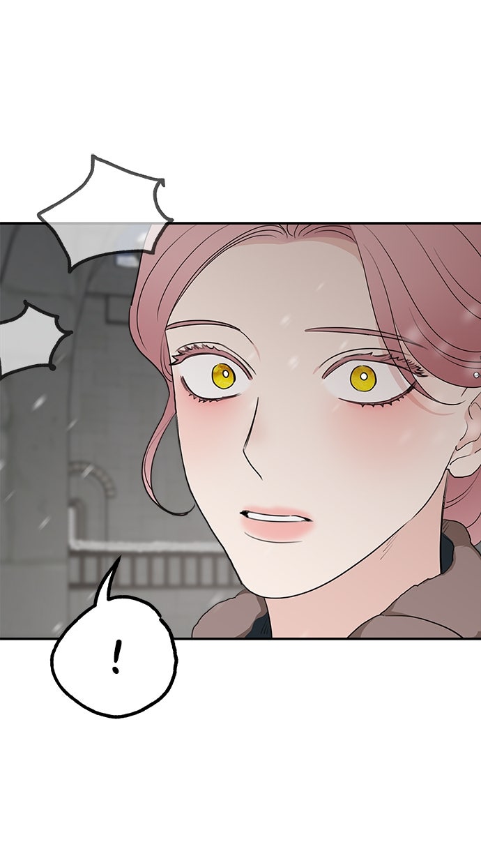 Read Meine Schwiegerfamilie ist besessen von mir Manga Online