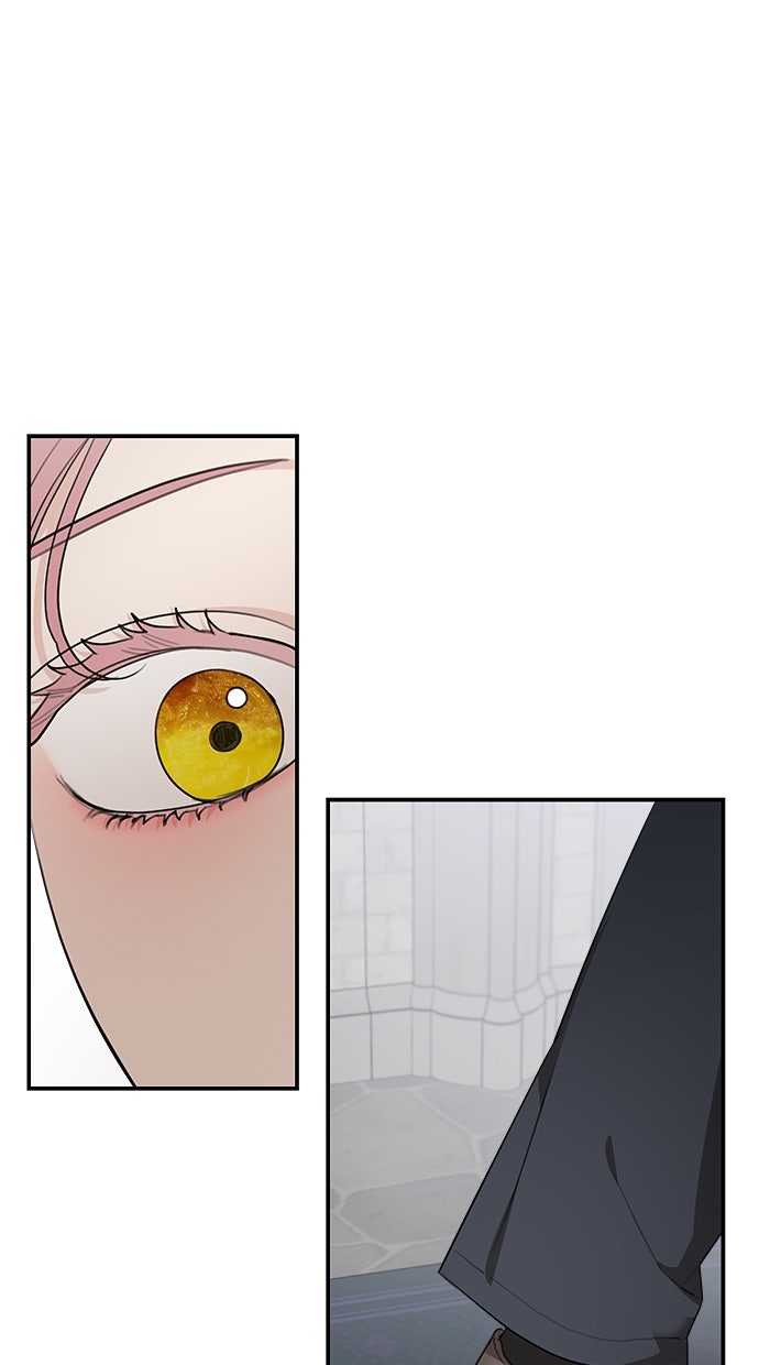 Read Meine Schwiegerfamilie ist besessen von mir Manga Online