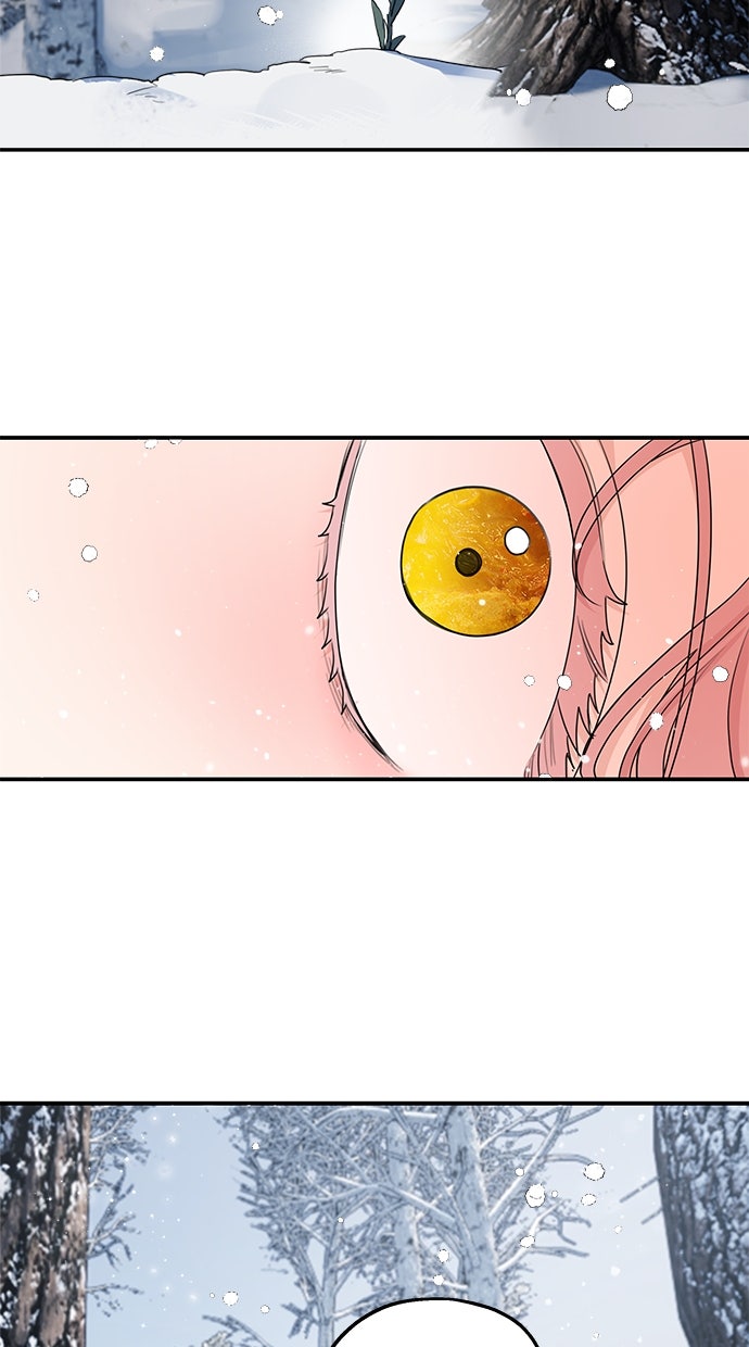 Read Meine Schwiegerfamilie ist besessen von mir Manga Online