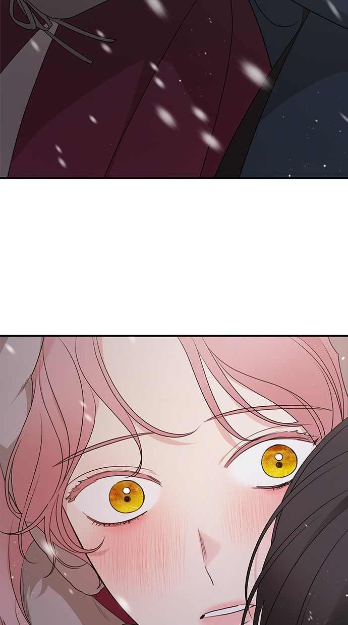 Read Meine Schwiegerfamilie ist besessen von mir Manga Online