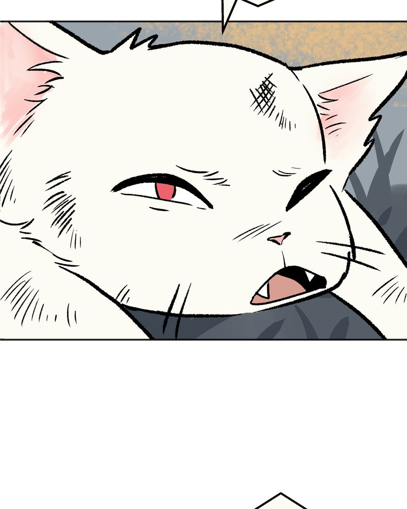 Read Morgana and Oz Manga Online