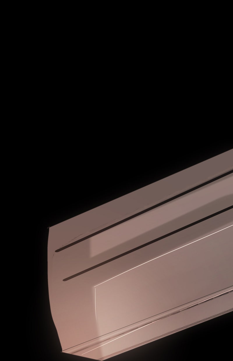 Read Not Even Bones Manga Online