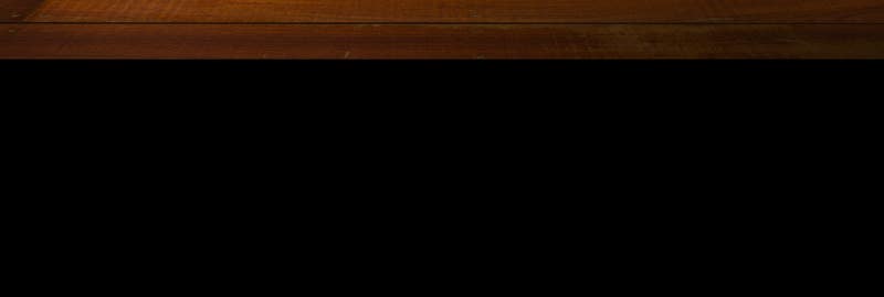 Read Not Even Bones Manga Online