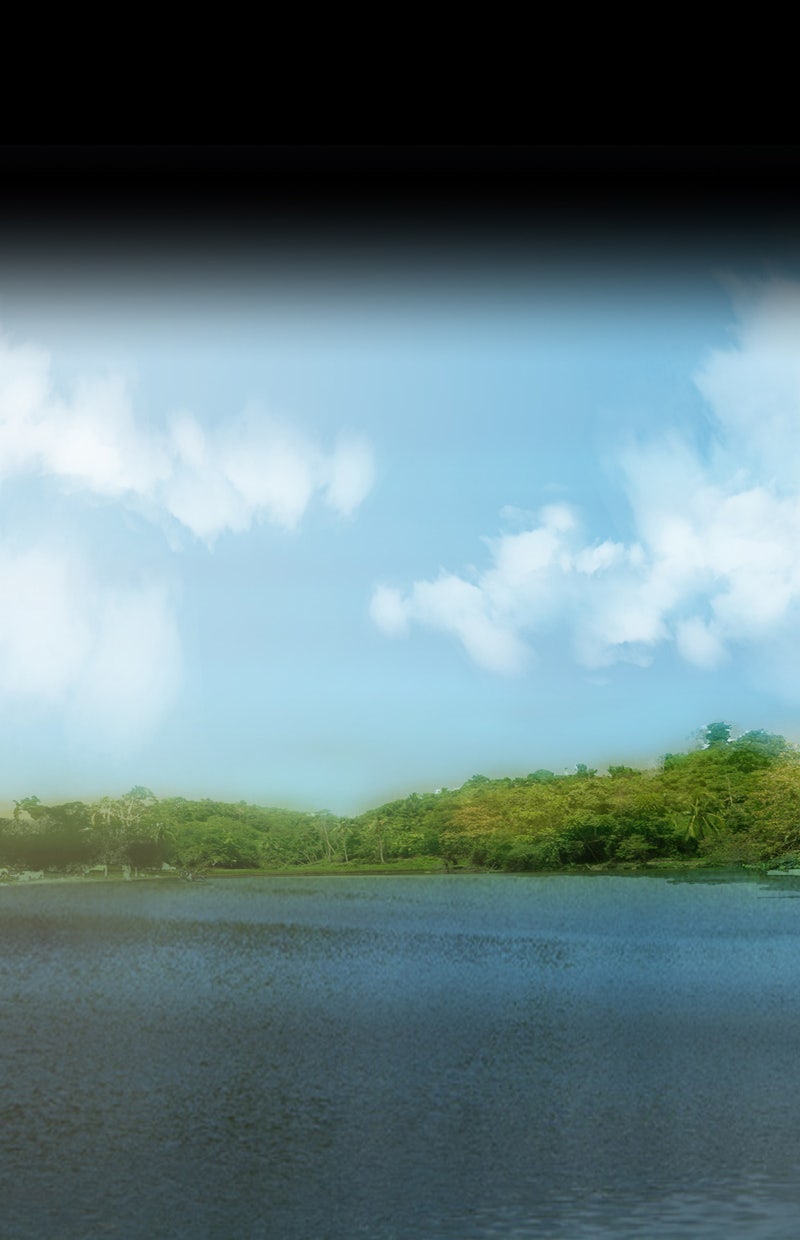 Read Not Even Bones Manga Online