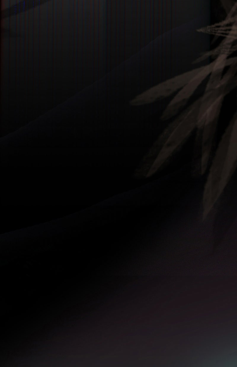 Read Not Even Bones Manga Online