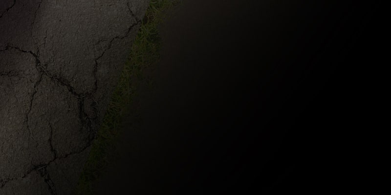 Read Not Even Bones Manga Online