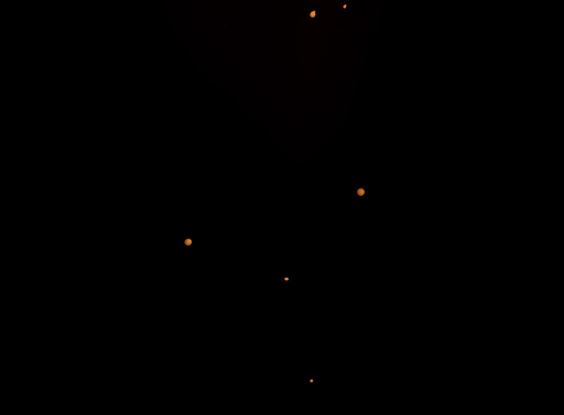 Read Not Even Bones Manga Online