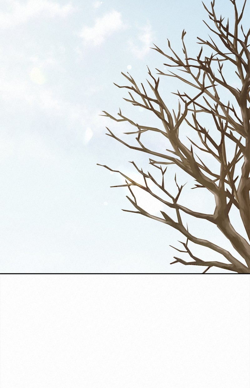 Read Operation - True Love Manga Online