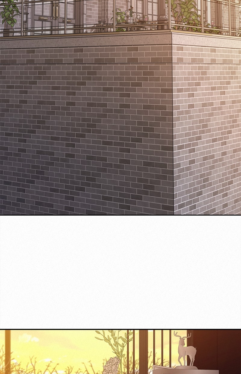 Read Operation - True Love Manga Online