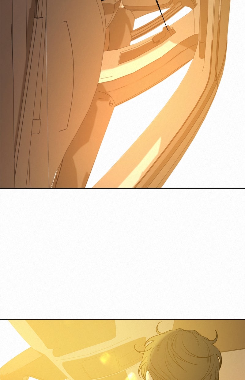 Read Operation - True Love Manga Online