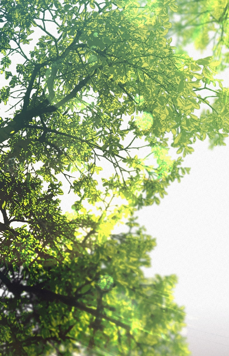 Read Operation - True Love Manga Online