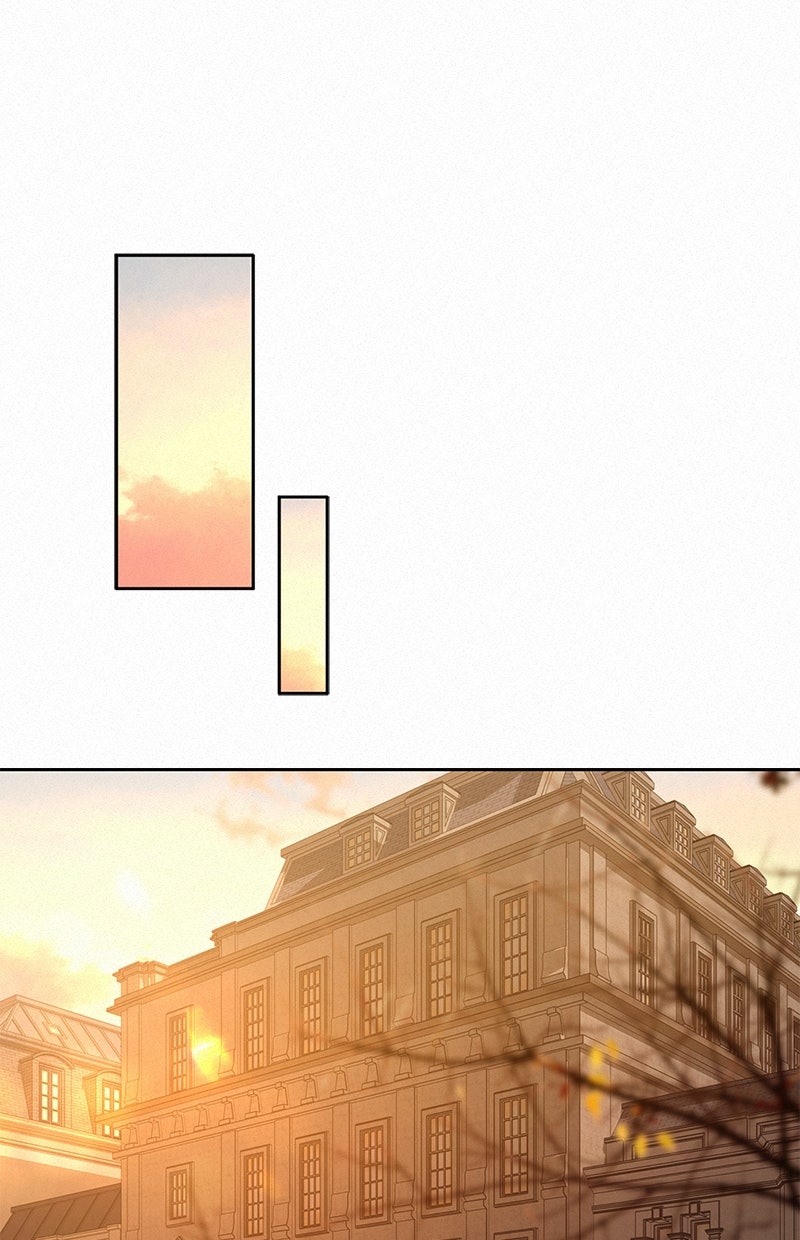 Read Operation - True Love Manga Online