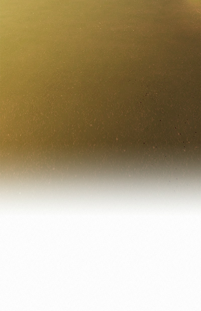 Read Operation - True Love Manga Online