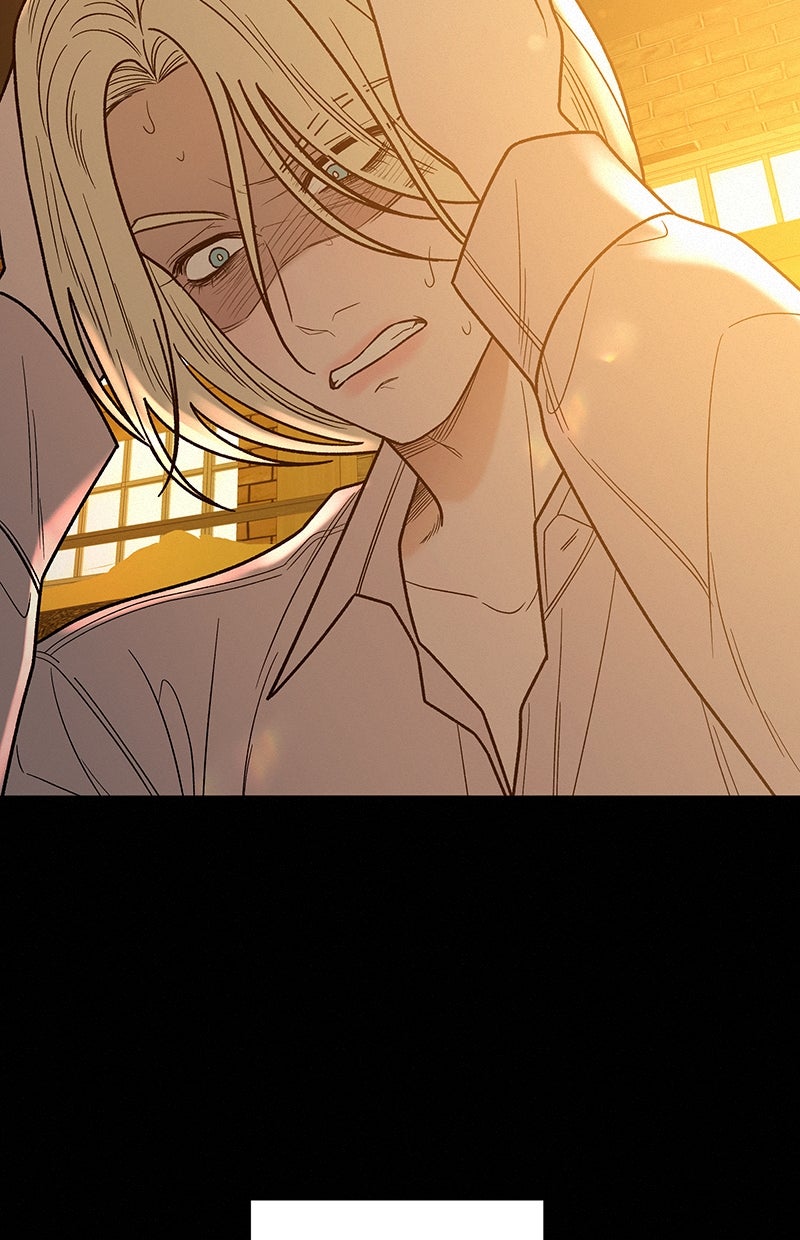Read Operation - True Love Manga Online