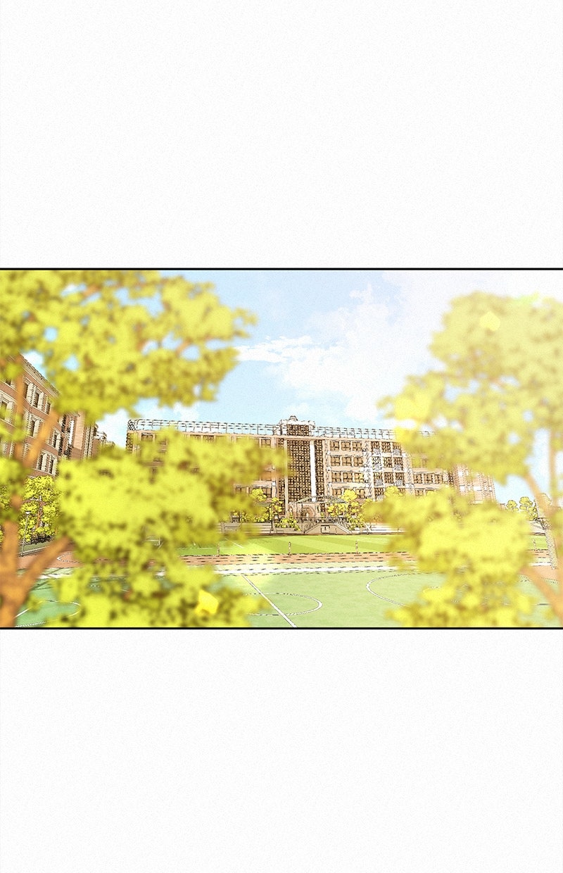 Read Operation - True Love Manga Online