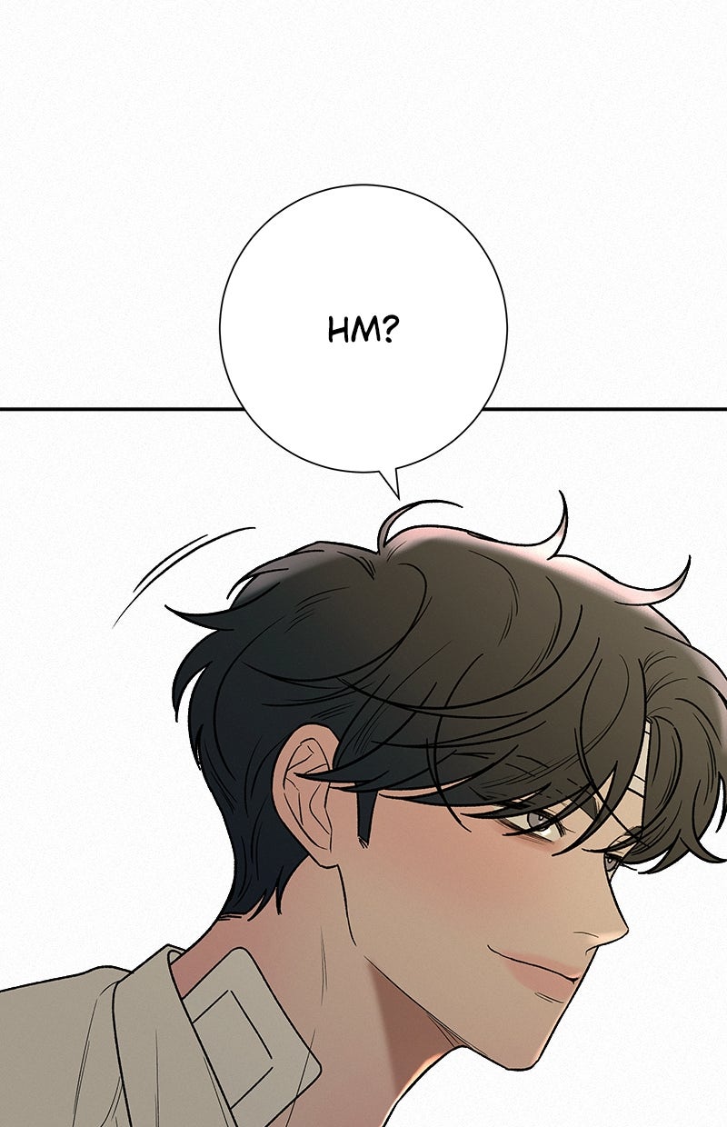 Read Operation - True Love Manga Online