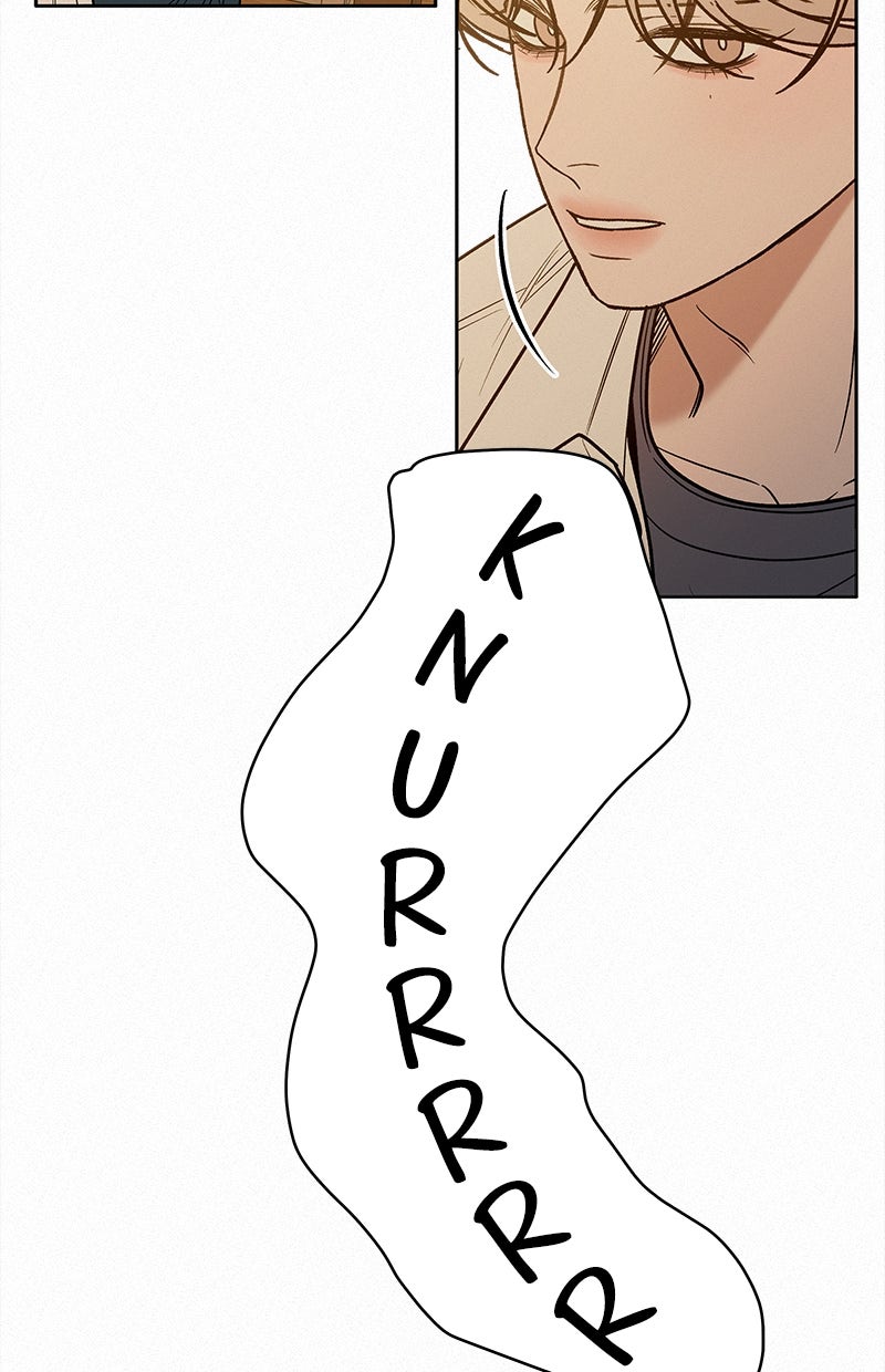 Read Operation - True Love Manga Online