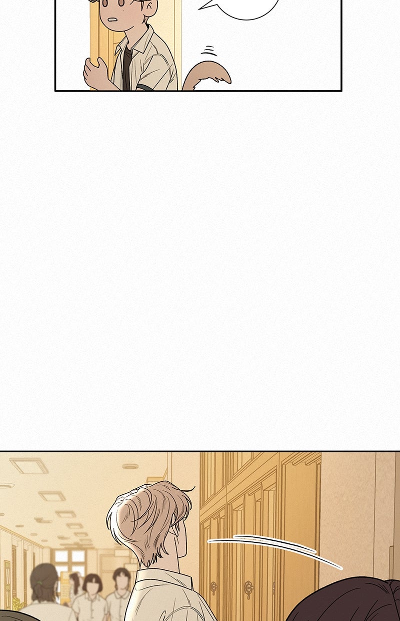 Read Operation - True Love Manga Online