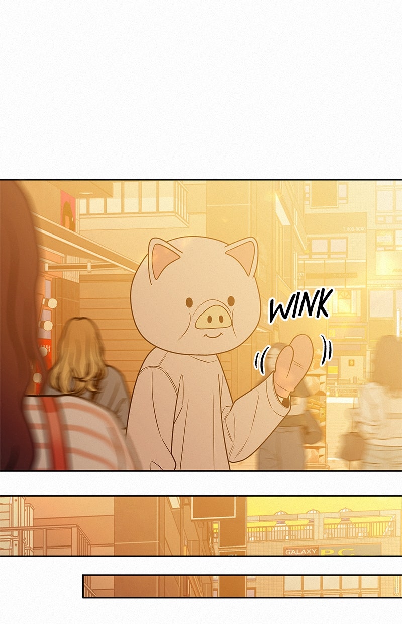 Read Operation - True Love Manga Online