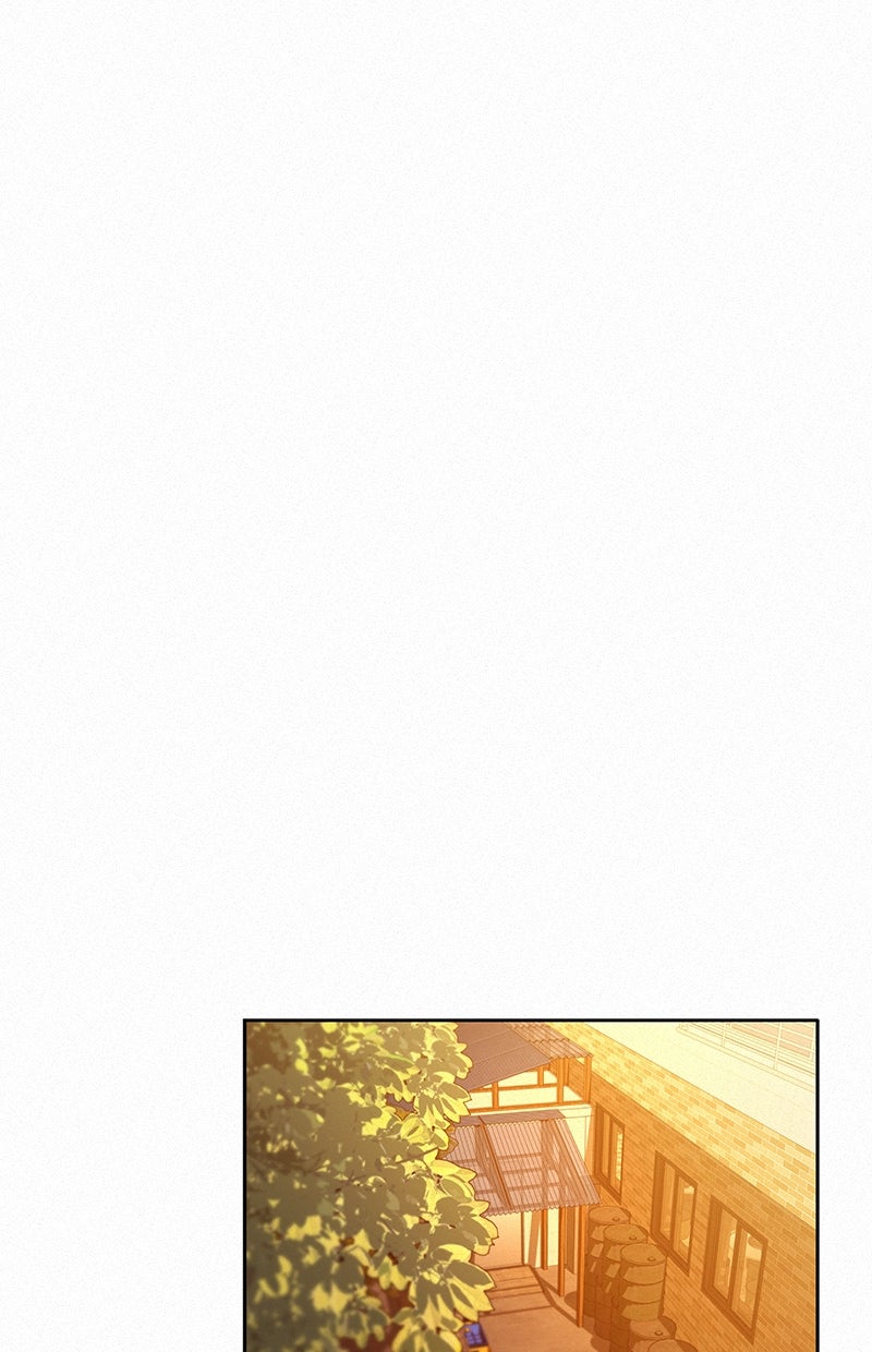 Read Operation - True Love Manga Online