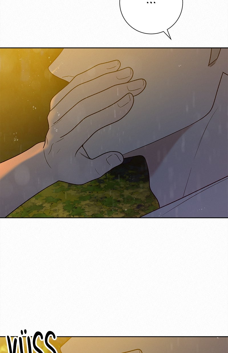 Read Operation - True Love Manga Online