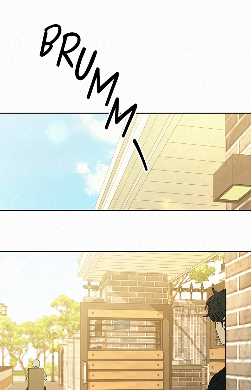 Read Operation - True Love Manga Online