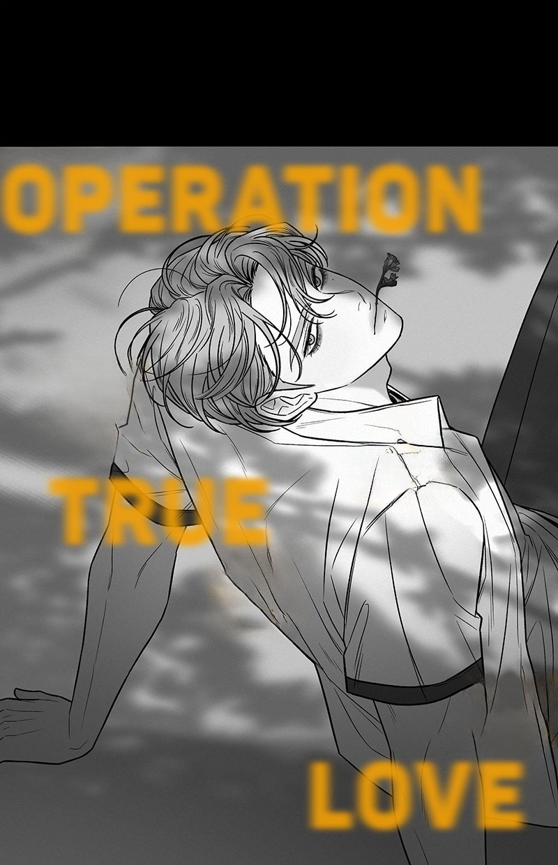 Read Operation - True Love Manga Online