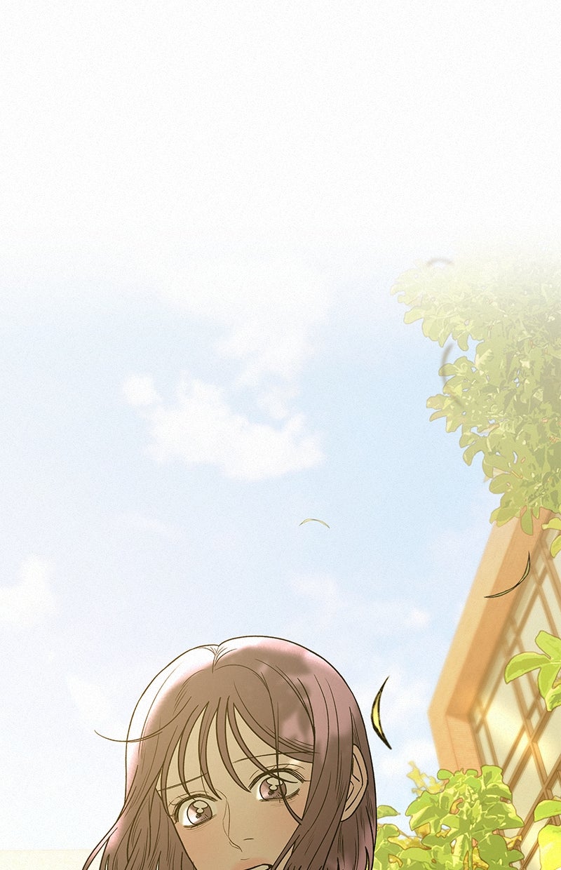 Read Operation - True Love Manga Online