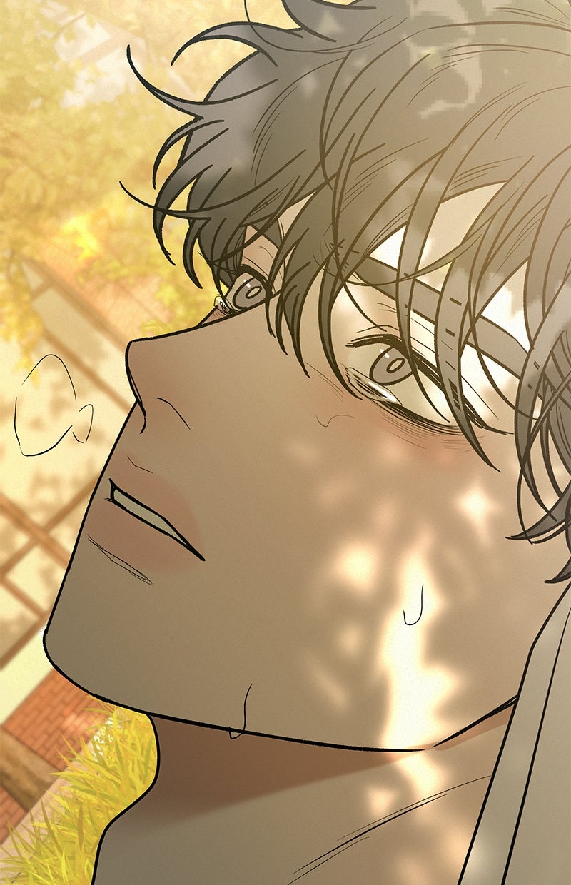 Read Operation - True Love Manga Online