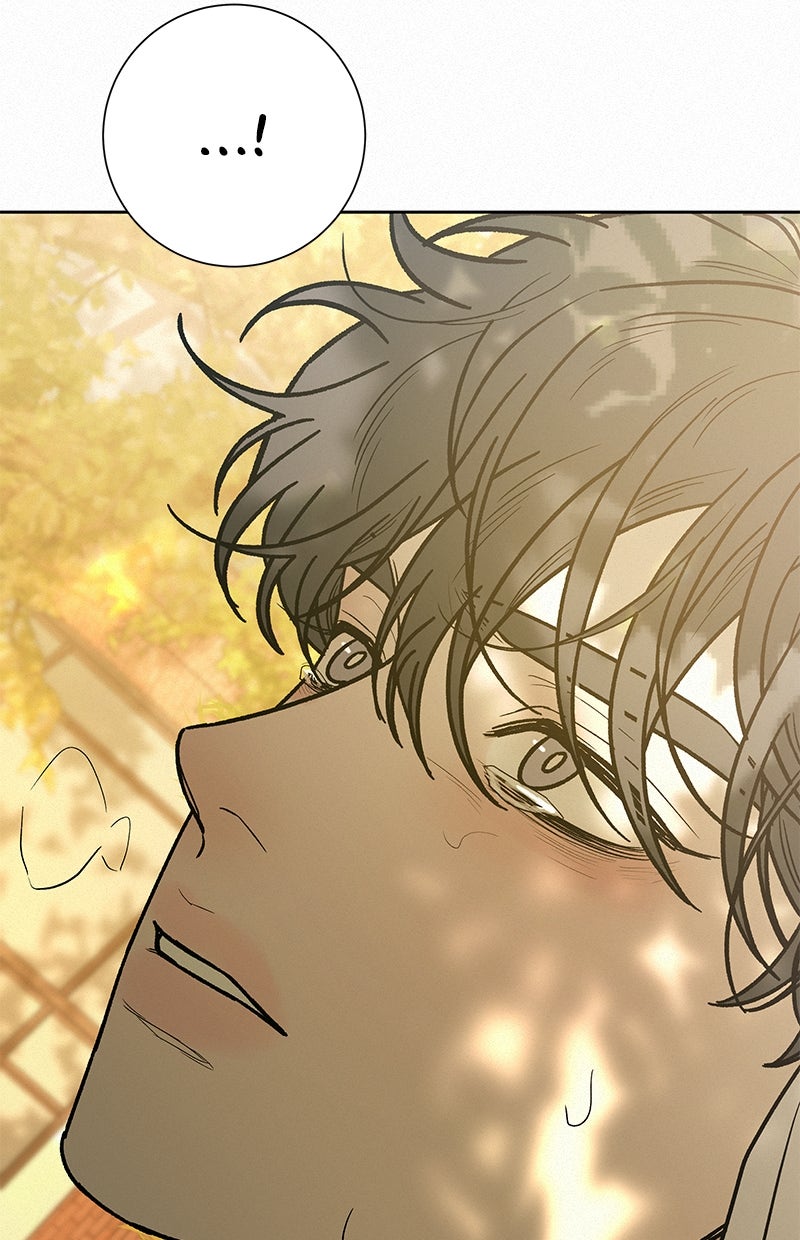 Read Operation - True Love Manga Online