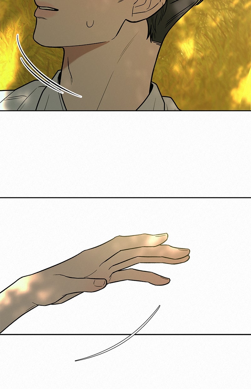 Read Operation - True Love Manga Online