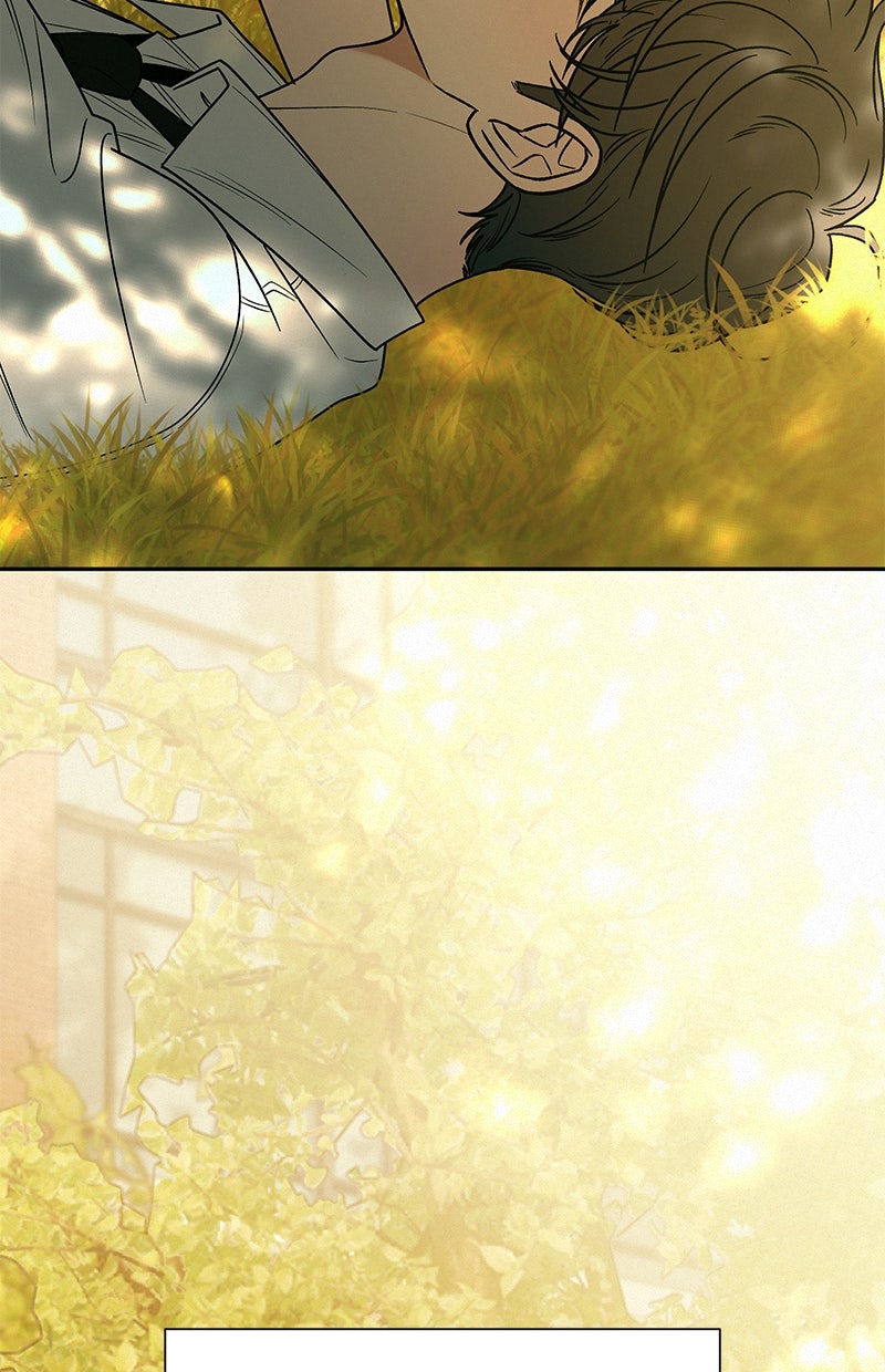 Read Operation - True Love Manga Online