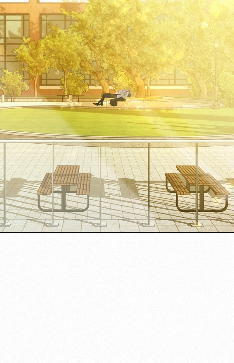 Read Operation - True Love Manga Online