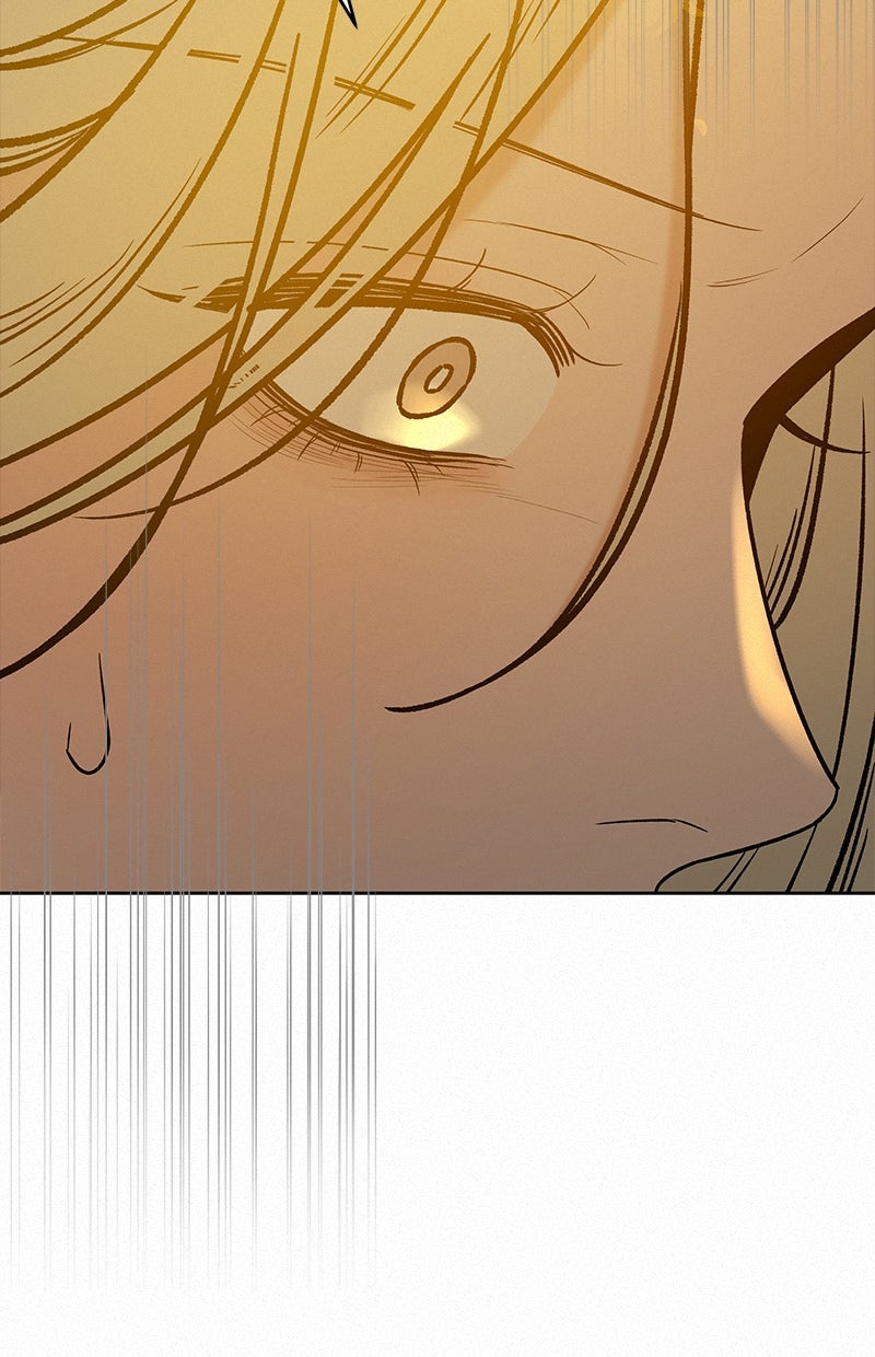 Read Operation - True Love Manga Online