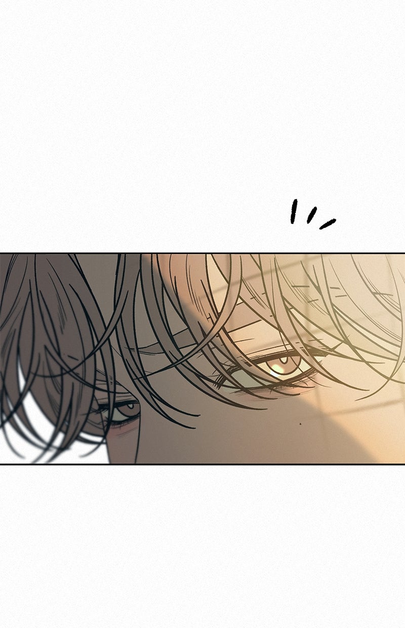 Read Operation - True Love Manga Online