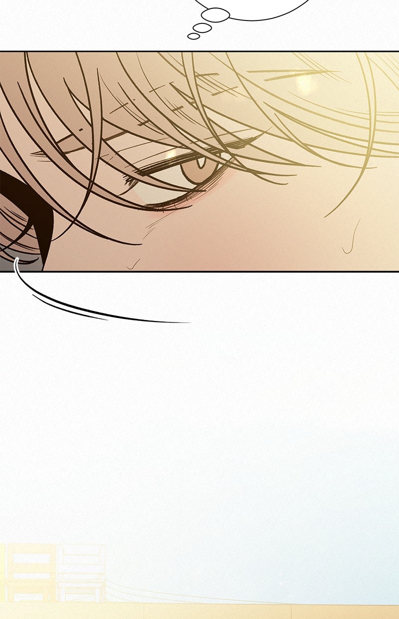 Read Operation - True Love Manga Online