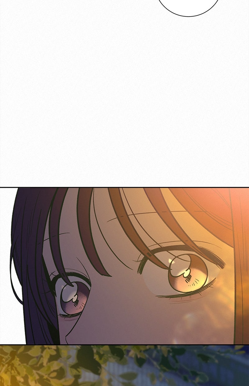 Read Operation - True Love Manga Online