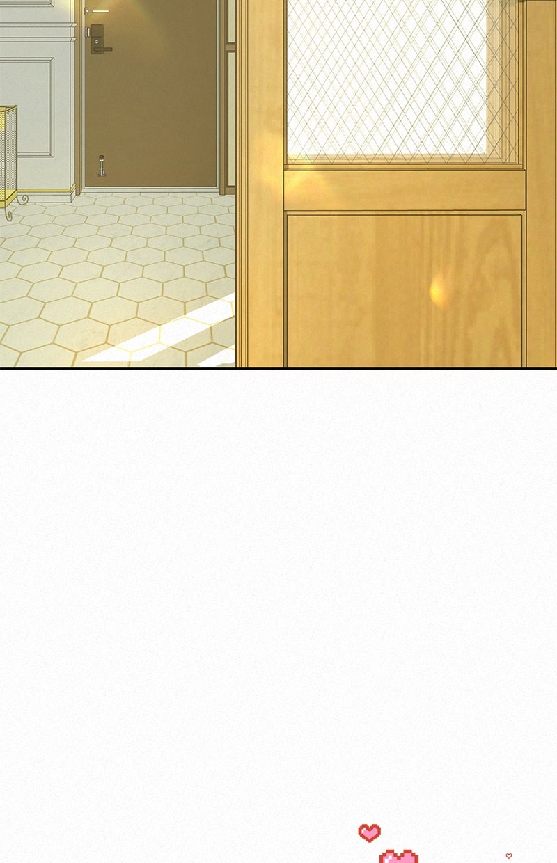 Read Operation - True Love Manga Online