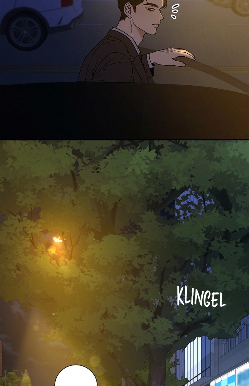 Read Operation - True Love Manga Online