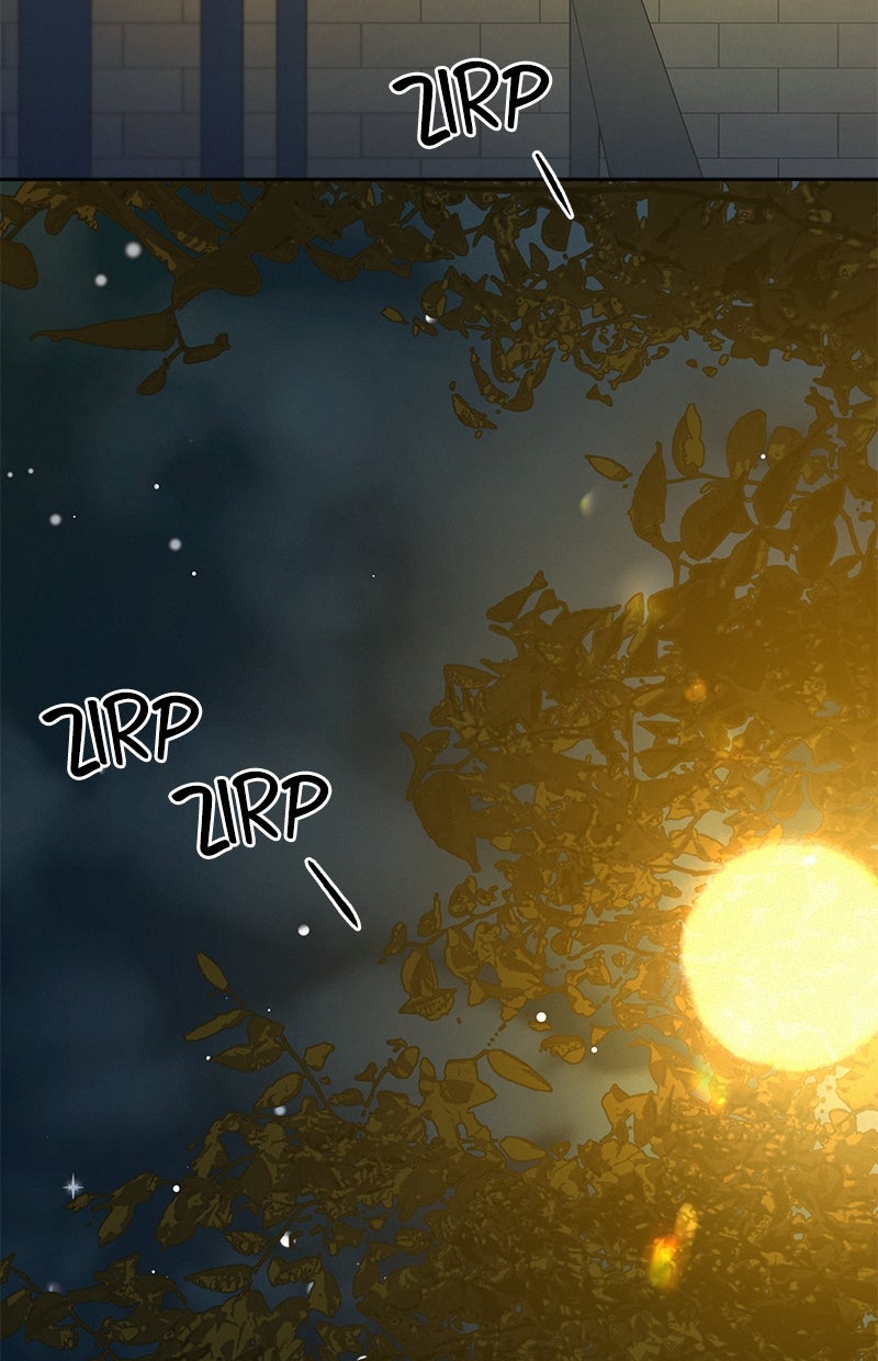 Read Operation - True Love Manga Online