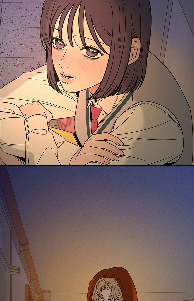 Read Operation - True Love Manga Online