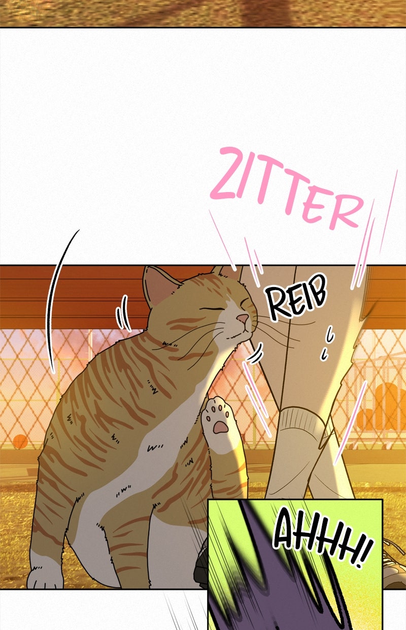 Read Operation - True Love Manga Online